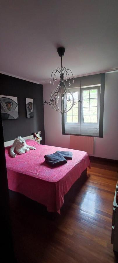 Nala House, Acogedor,Bien Comunicado,Aparcamiento Gratis En La Calle Bilbau Exterior foto